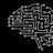 anolytics